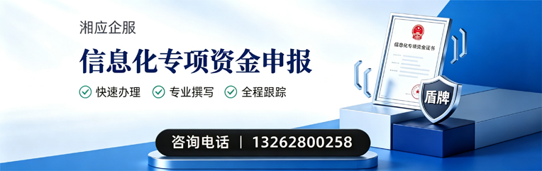 玉溪信息化专项资金申报服务