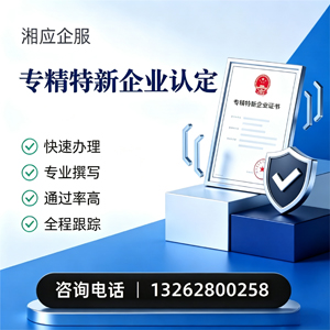 玉溪专精特新企业申报服务