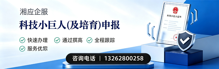 玉溪科技小巨人及培育企业申报服务