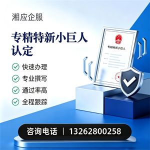 玉溪专精特新小巨人申报服务