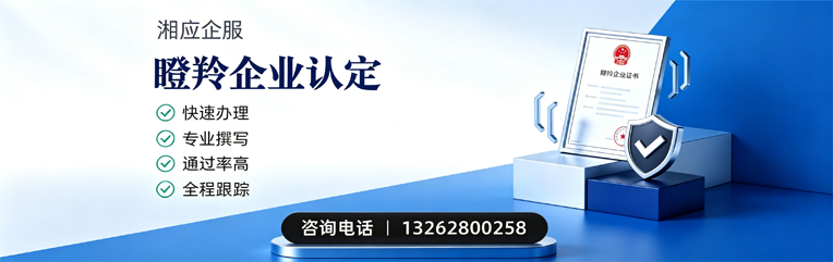 玉溪瞪羚企业认定申报服务