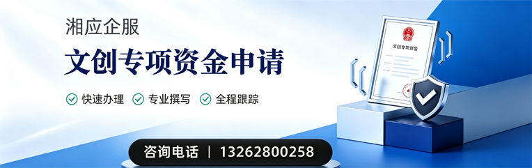 玉溪文创专项资金申报服务