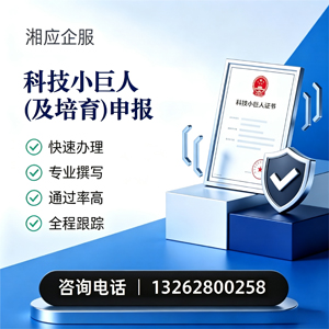 玉溪科技小巨人及培育企业申报服务