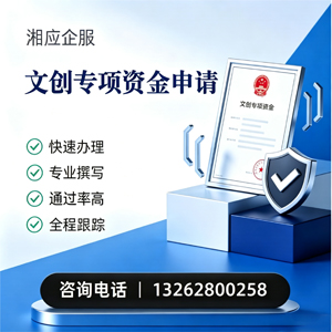 玉溪文创专项资金申报服务