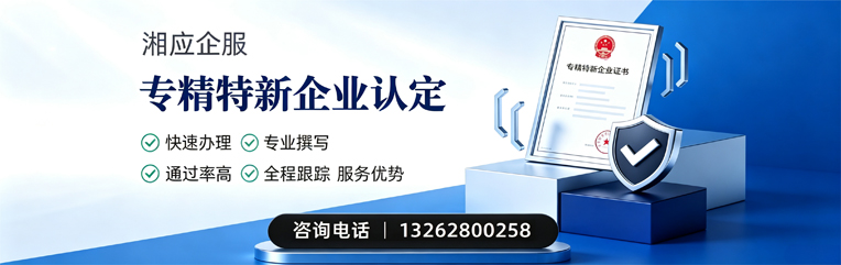 玉溪专精特新企业申报服务