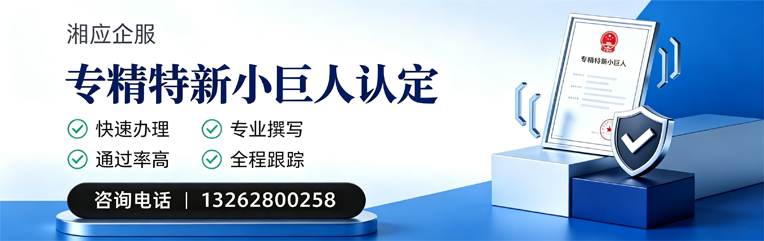 玉溪专精特新小巨人申报服务